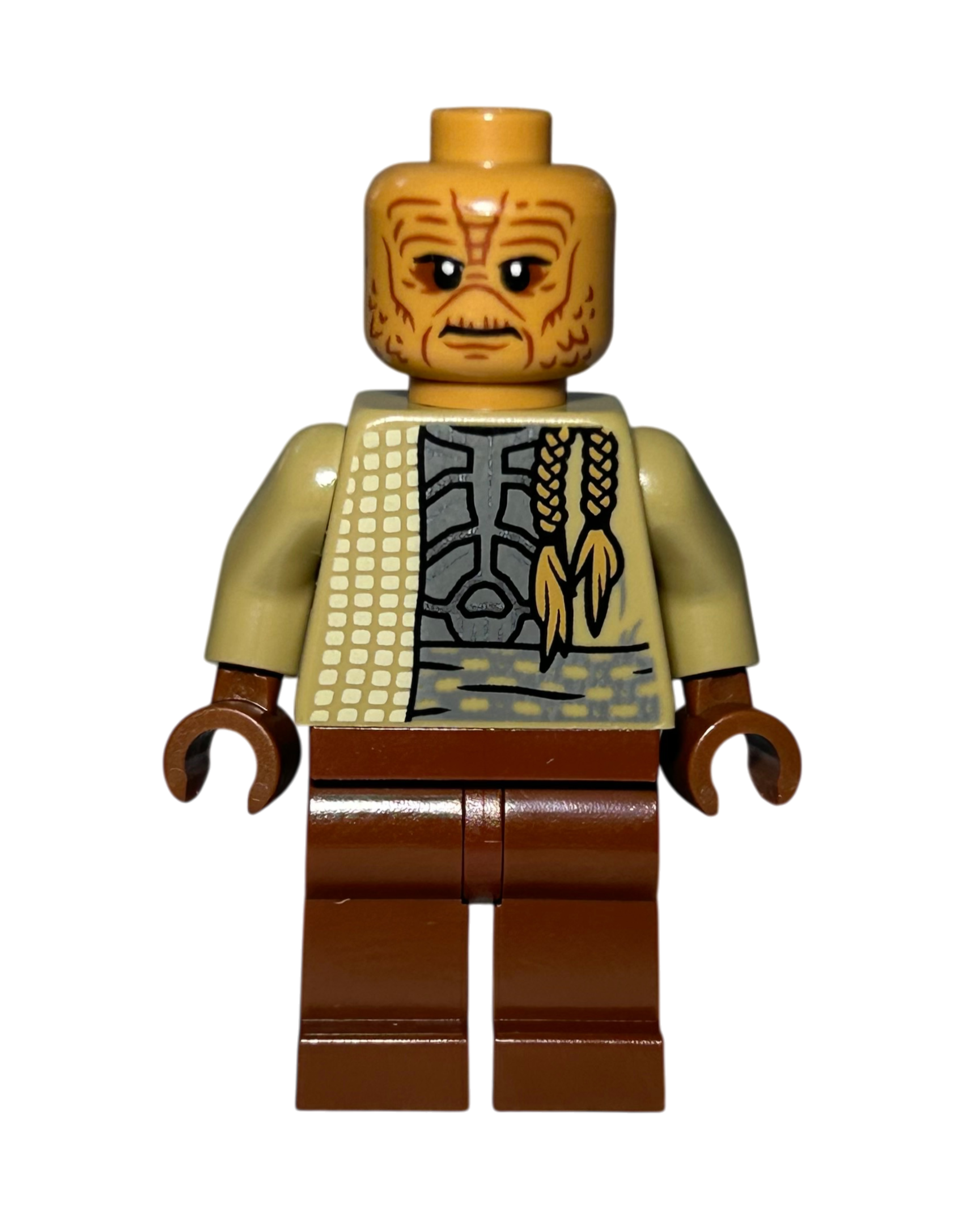 Weequay Guard SW1197 LEGO Star Wars Minifigur Vorderansicht