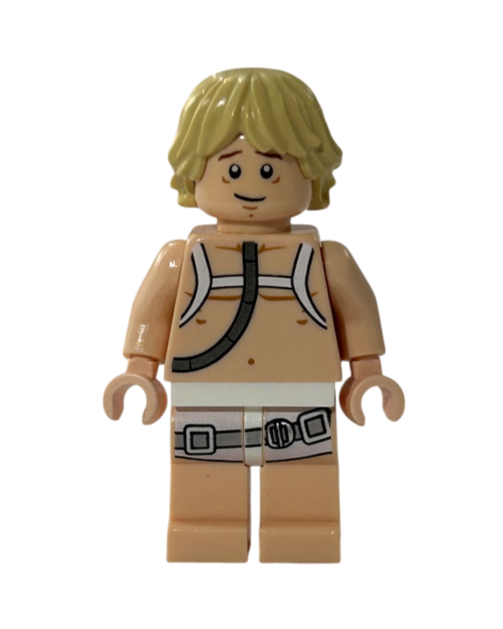 Lego Star Wars Luke Skywalker Bacta Tank Outfit SW0342