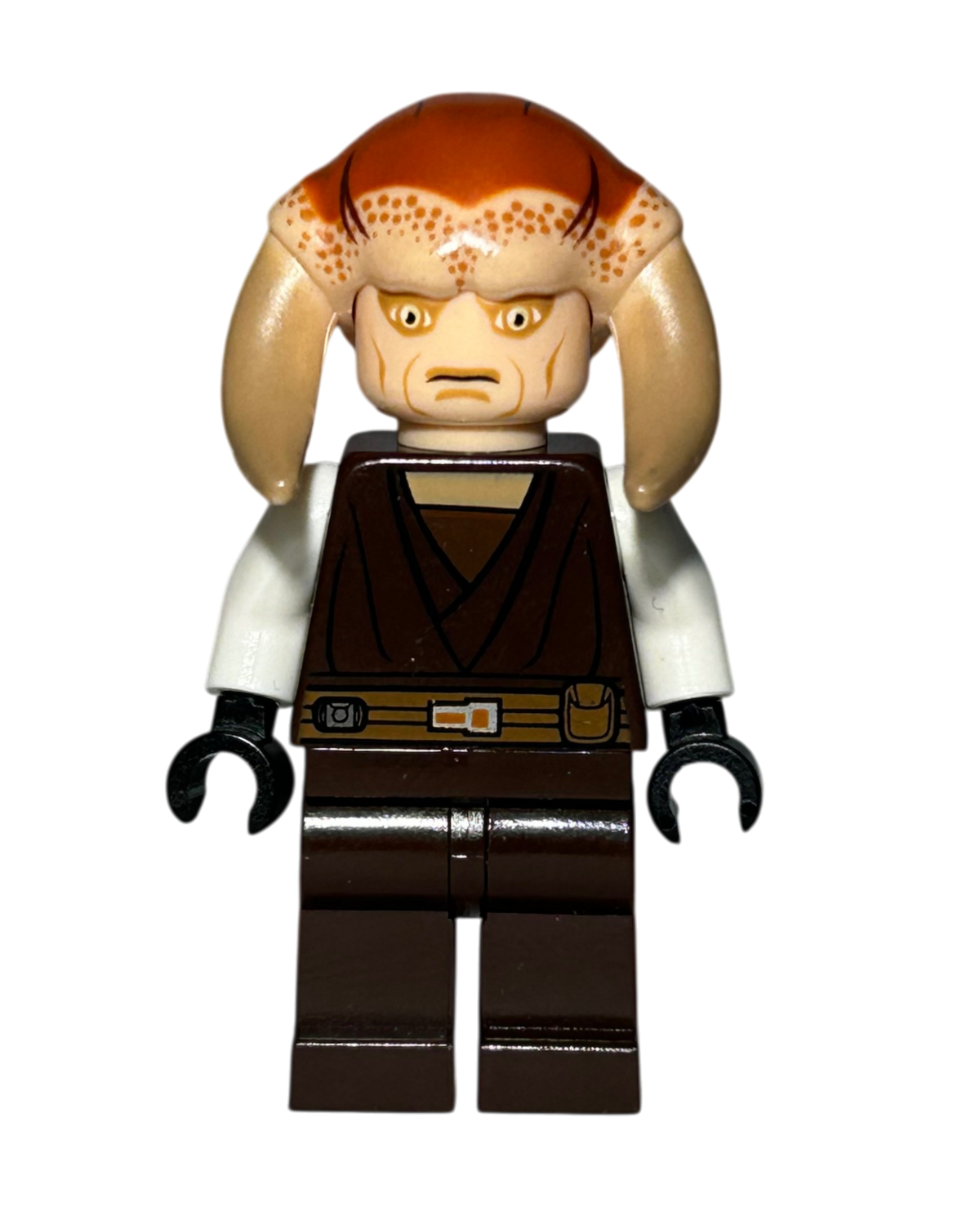 Saesee Tiin SW0308 LEGO Star Wars Minifigur Vorderansicht