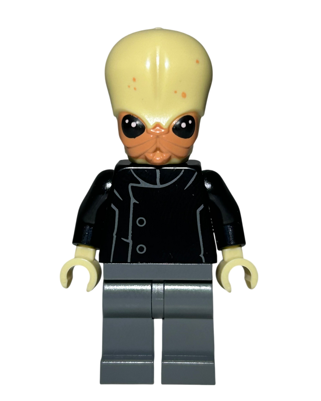 Bith Musician SW0554 LEGO Star Wars Minifigur Vorderansicht brick2d2