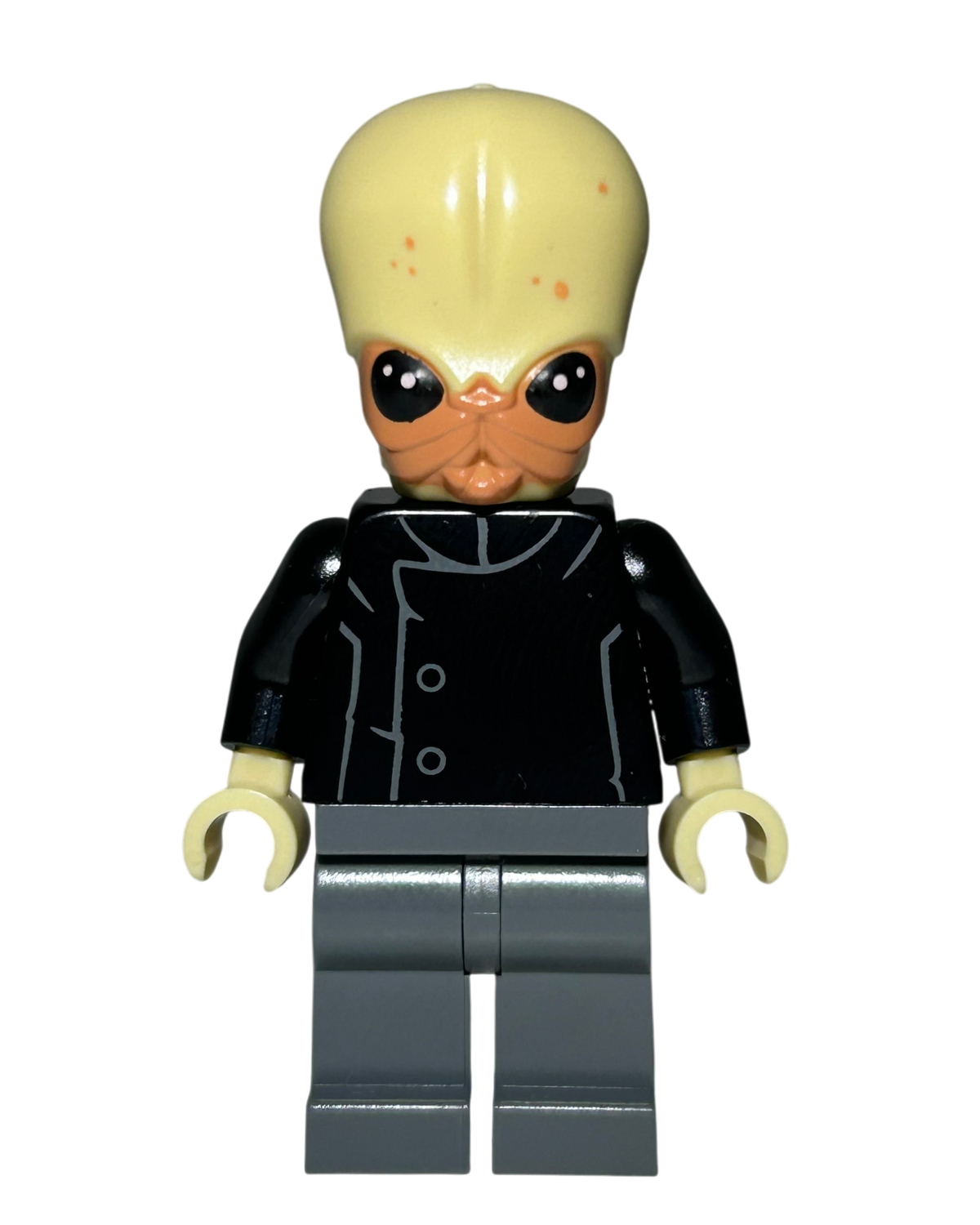Bith Musician SW0554 LEGO Star Wars Minifigur Vorderansicht brick2d2