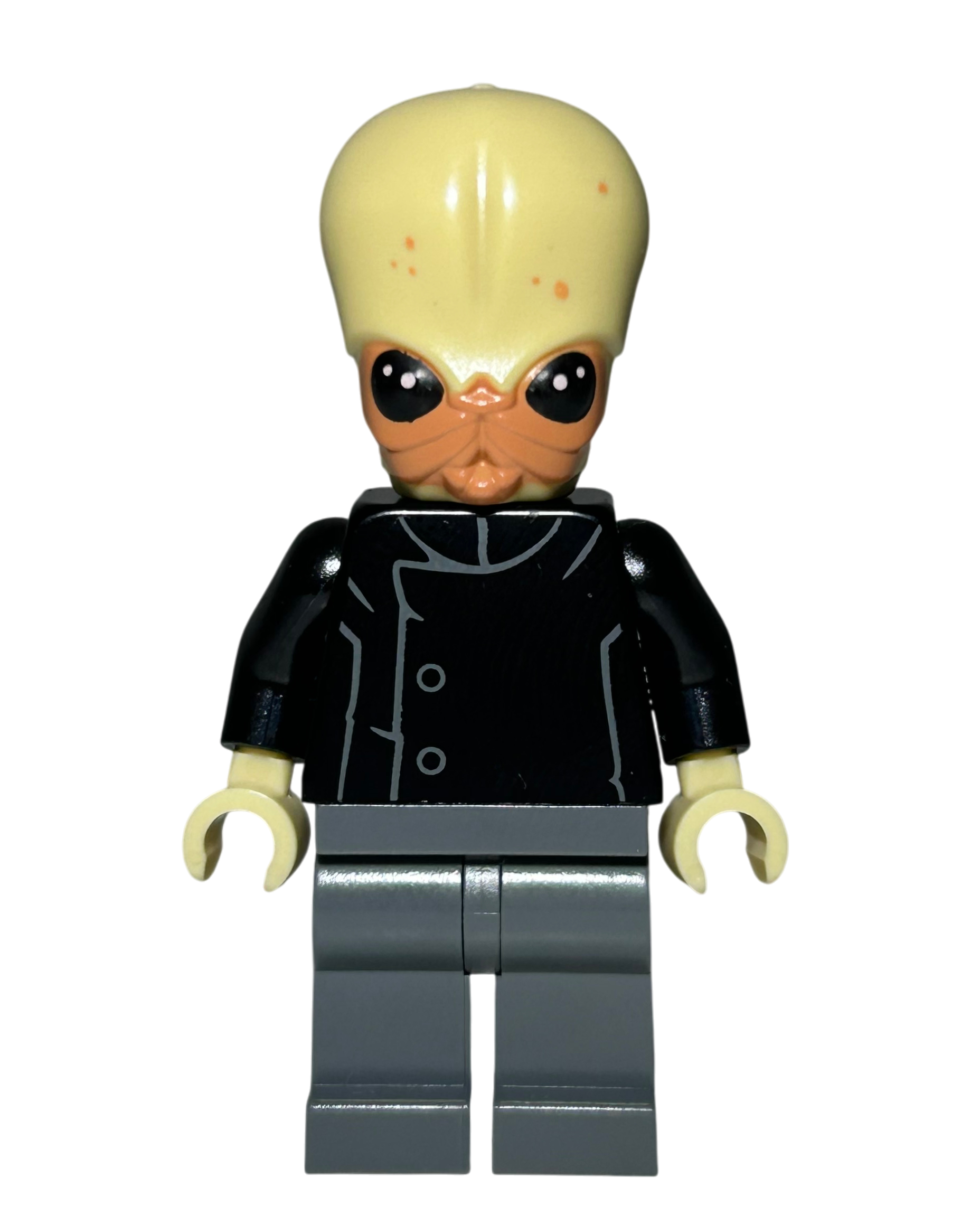 Bith Musician SW0554 LEGO Star Wars Minifigur Vorderansicht brick2d2