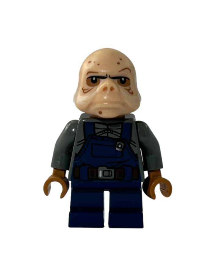 Ugnaught SW0710 LEGO Star Wars Minifigur Vorderansicht
