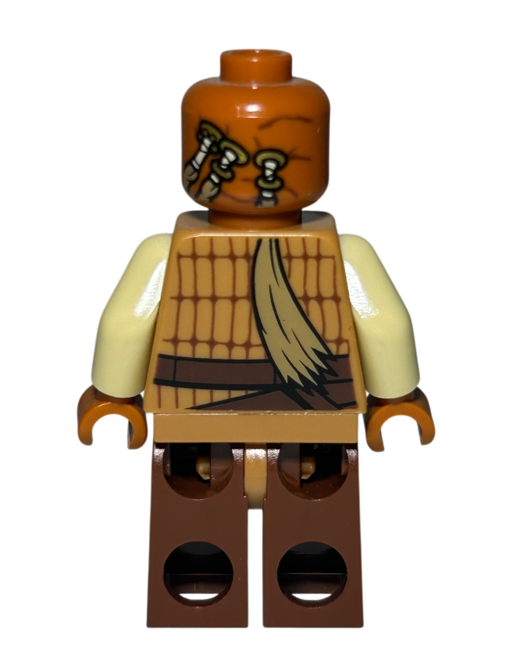 Weequay Skiff Guard SW0821 LEGO Star Wars Minifigur Rückansicht brick2d2