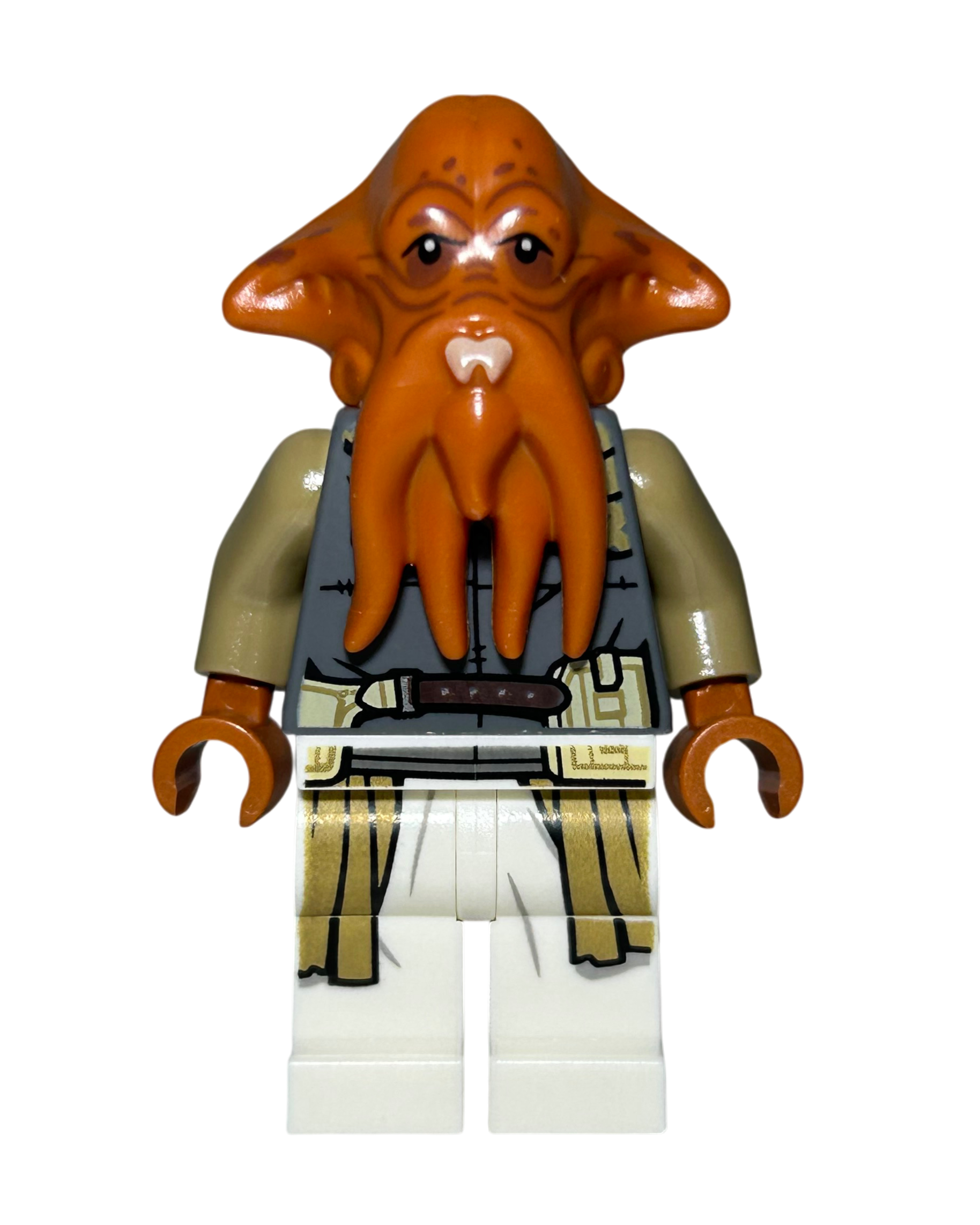 Quarren SW1195 LEGO Star Wars Minifigur Vorderansicht brick2d2