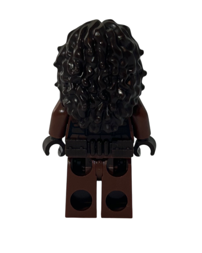 Lego Star Wars Minifigur Peli Motto SW1210