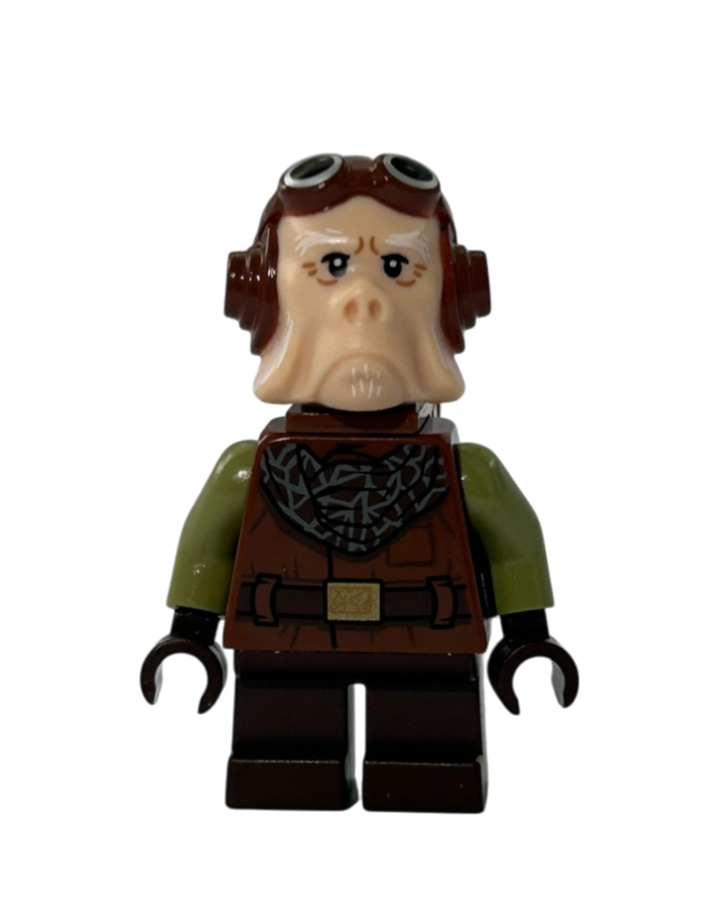  Kuiil mit Rucksack SW1244 LEGO Star Wars Minifigur Vorderansicht