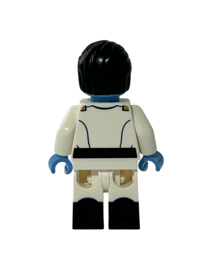 Lego Star Wars Minifigur Admiral Thrawn SW1356